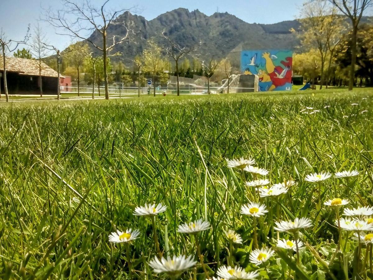 Camping Iratxe Ciudad De Vacaciones Ayegui المظهر الخارجي الصورة
